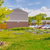 Picture of Community Garden Picture of Community Garden